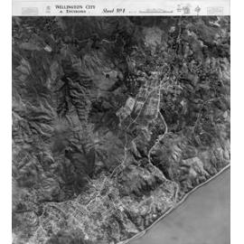Wellington City and Environs Aerial Mosaic 1945, Sheet 1