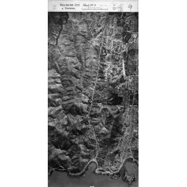 Wellington City and Environs Aerial Mosaic 1945, Sheet 5