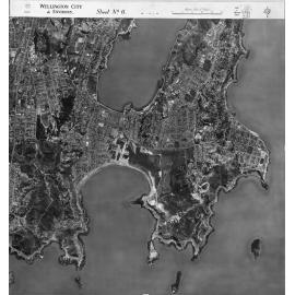 Wellington City and Environs Aerial Mosaic 1945, Sheet 6
