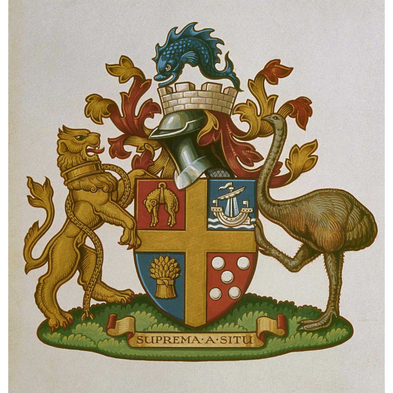 Evolution of Te Whanganui-a-Tara through the eyes of the Wellington City Council