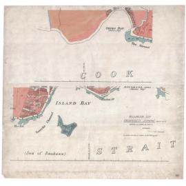 Wellington City Council Zoning Scheme 1946, map 16 and map 21