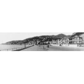 Oriental Bay, No. 390