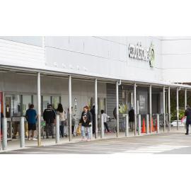 Wellington COVID 19 Lock Down walk and drive around