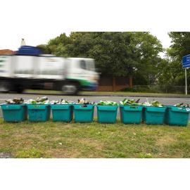 Rubbish and recycling