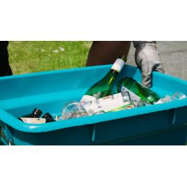 Wellington Glass Sorting