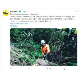 Tweet - News - Arborist saves the day for two nurses