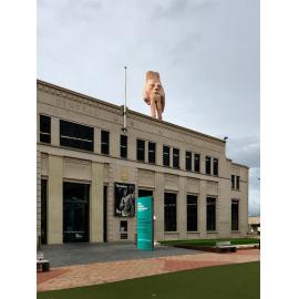 Quasi during COVID-19 Level 4 Lock Down