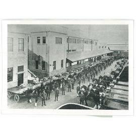 Milk Department horse fleet