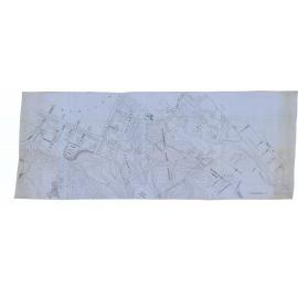 Coromandel Street   Government House grounds vicinity