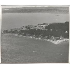 Aerial View of Wellington 1947, Point Halswell, Eastbourne in distance
