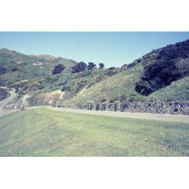 Cemeteries - Makara, main driveway