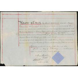 Appointment of H E Nicholls as Clerk at the Queen's Wharf, Wellington, 1 February 1876