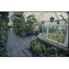 Parks and Gardens, Begonia House