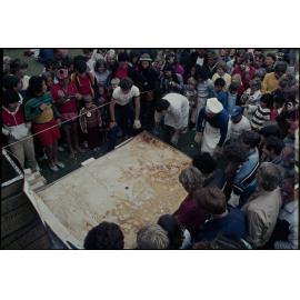 Giant pie, Summer City