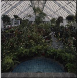 Parks and Recreation - Botanical Gardens: Begonia House