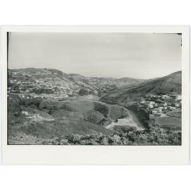 Wilton and Crofton Downs, view from Heke Street