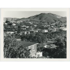 Ngaio, view from Abbott Street 