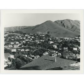 Ngaio, view looking west