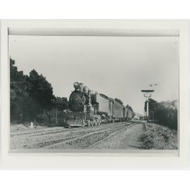 Train on Johnsonville Railway Line, Khandallah