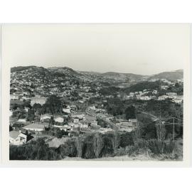 Ngaio, view looking south