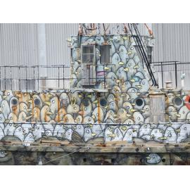 Tugboat in Wellington Harbour