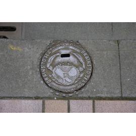 Wellington City Manhole Cover