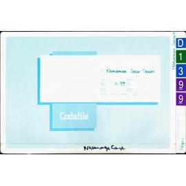 Ngauranga Gorge Sewer