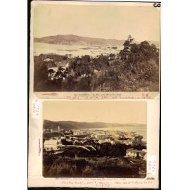 Te Aro and Thorndon c.1870