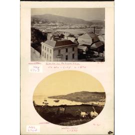 Te Aro Flat and Lambton Harbour c.1870