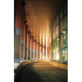 Civic Administration Building walkway