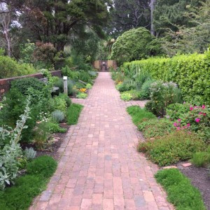 Herb Garden