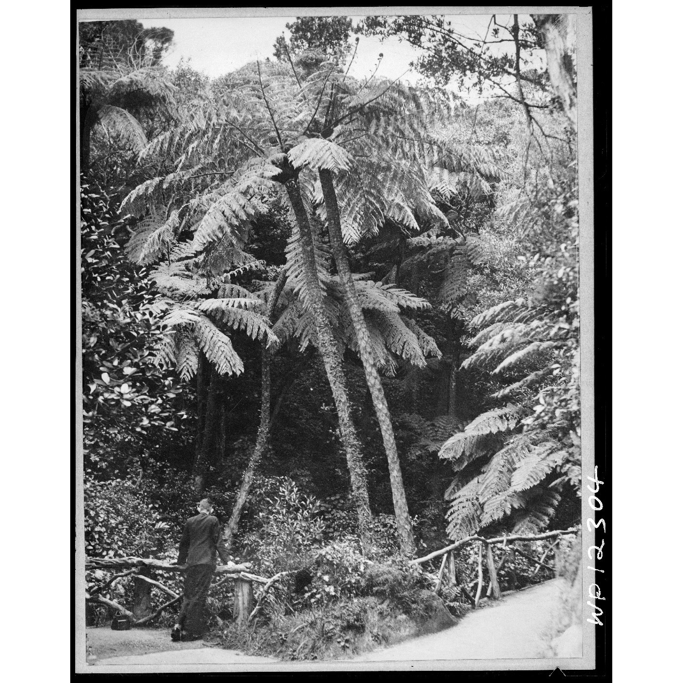 Botanic Garden Board