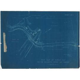 New slip at Evans' Bay for the Wellington Patent Slip Company