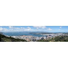 Panorama of Wellington, from Wireless Station, 2023