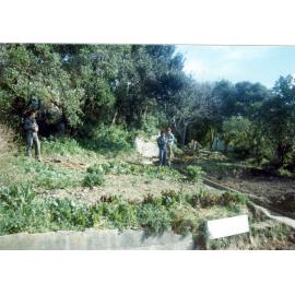 Back yard of Brooklyn Resource Centre