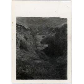 Albion Gold Mine, Black Gully, Makara