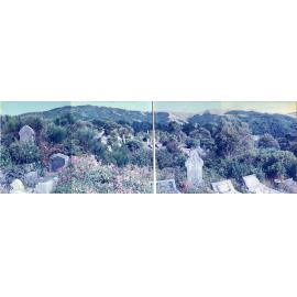Karori Cemetery, Panorama, AK-WC1 looking northwest, 17 January 1989