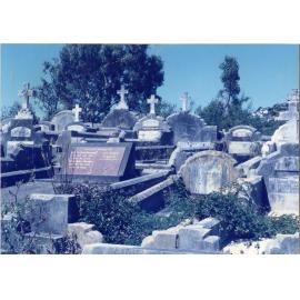 Karori Cemetery, Clematis Vitalba in AP-WR, 17 January 1989