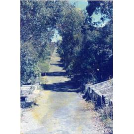 Karori Cemetery, Main path from Turners to Kershaws in WH-NP2, 17 January 1989