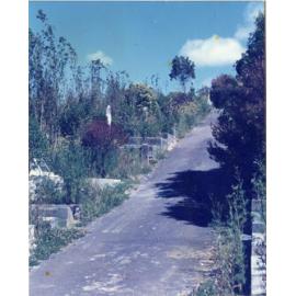 Karori Cemetery, From Lodders looking south (AGP2), 17 January 1989