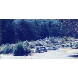 Karori Cemetery, Seat at top of ZR, 17 January 1989