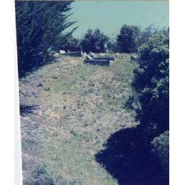 Karori Cemetery, BP3, 17 January 1989