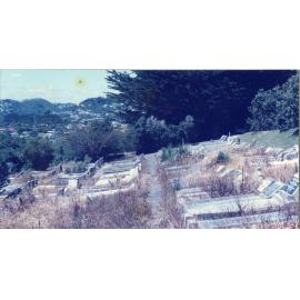 Karori Cemetery, Heavy spraying in BR2, 17 January 1989