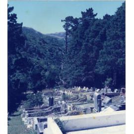 Karori Cemetery, ZR looking north, 17 January 1989