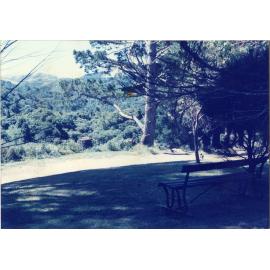 Karori Cemetery, Seat at bottom of ZR looking to Otari, 17 January 1989