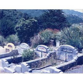 Karori Cemetery, Typical results of planting work in Peter Fraser area, 11 January 1989