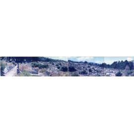 Karori Cemetery, Panorama of Peter Fraser from FP3, 11 January 1989