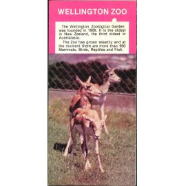 Wellington Zoo guest map
