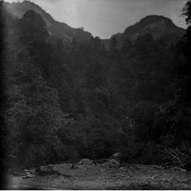 Orongorongo River Tunnel