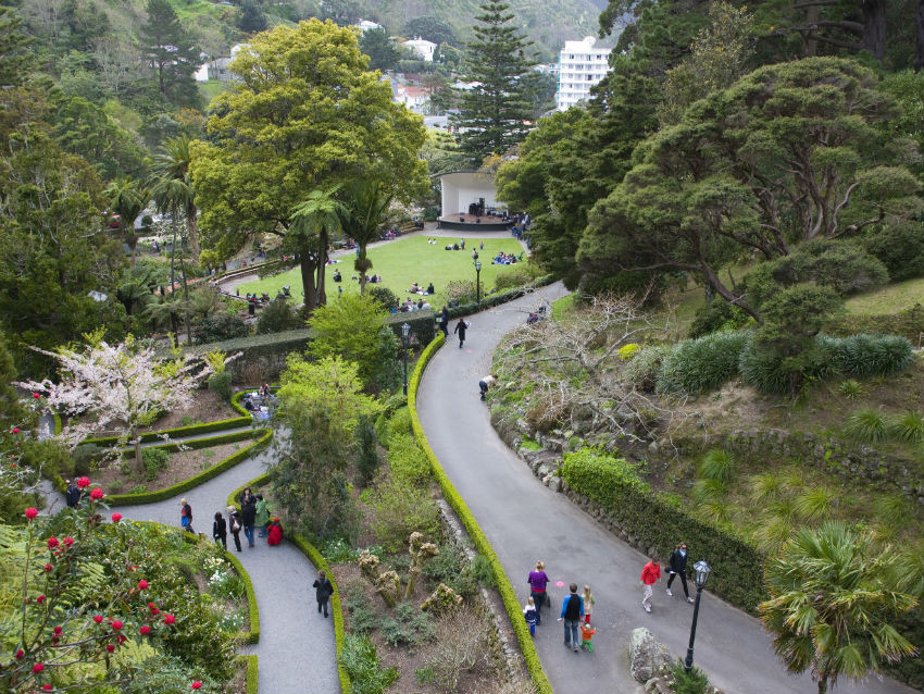 Aerial view of the Wellington Botanic from the balcony of the Treehouse looking down at the sensory garden and Sound Shell

Retrieved from: https://wellington.govt.nz/news-and-events/news-and-information/our-wellington/2020/08/new-name-for-botanic-garden
